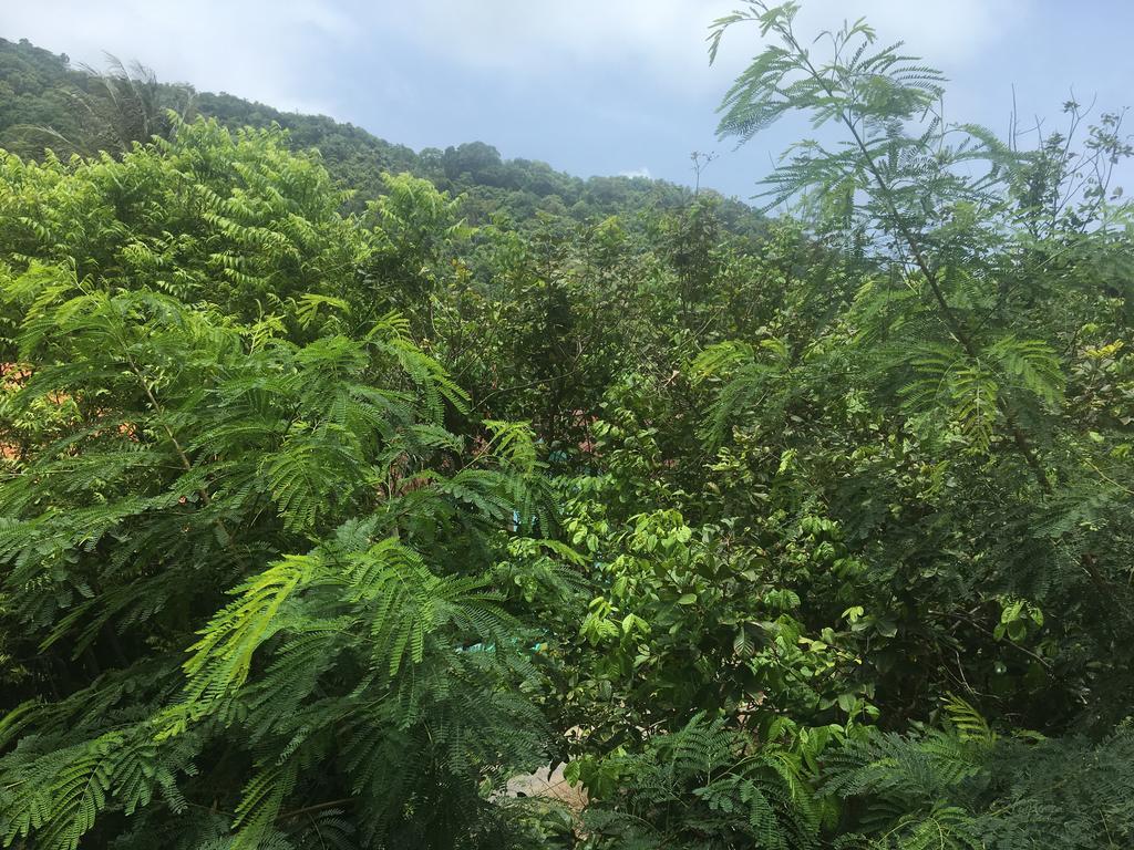Corsica Guesthouse Kata Plajı Dış mekan fotoğraf